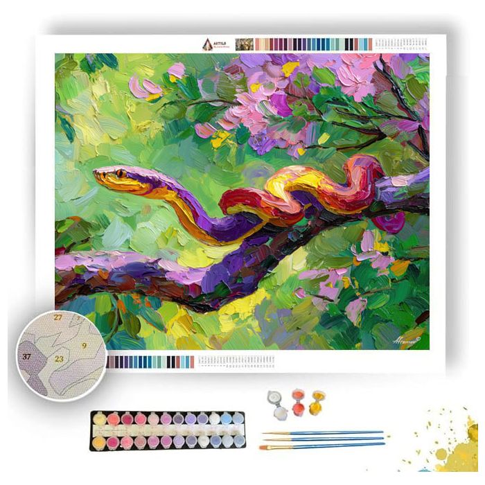 SOFT SPACE - Paint by Numbers Full Kit