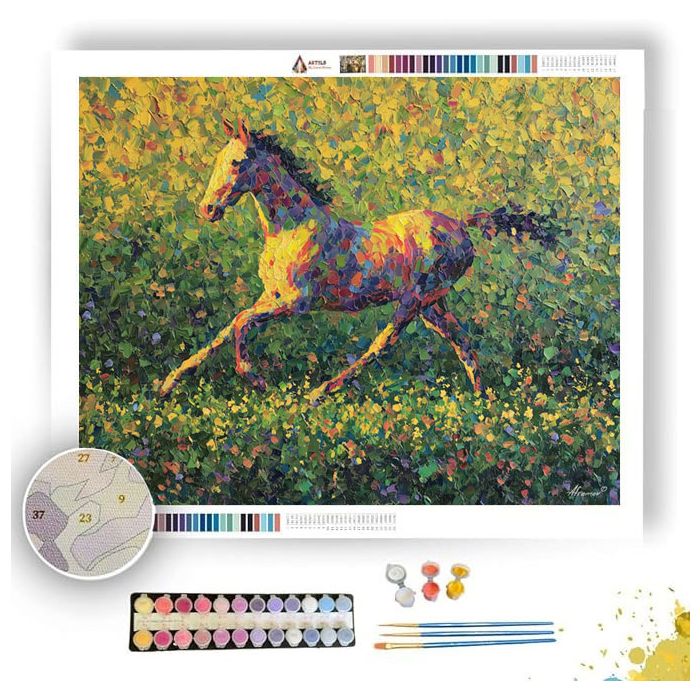 SUNLIT SPACE - Paint by Numbers Full Kit
