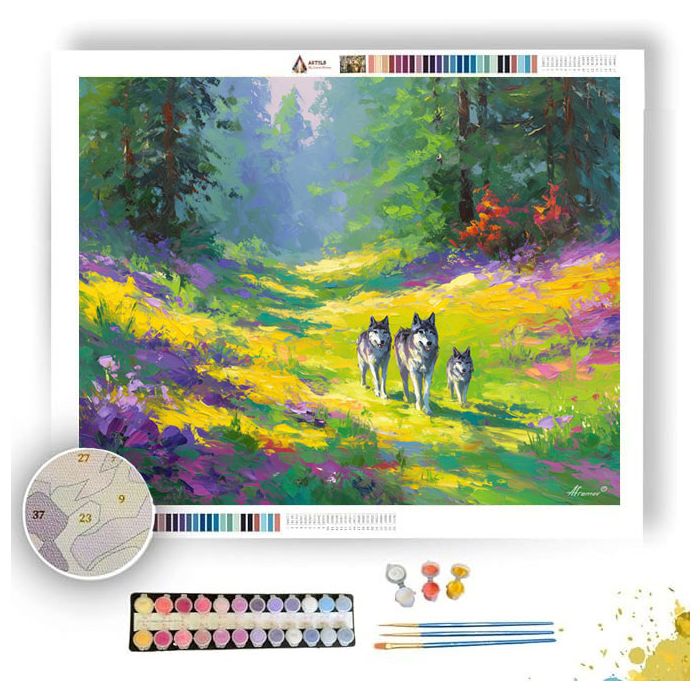 COLORFUL PATH - Paint by Numbers Full Kit