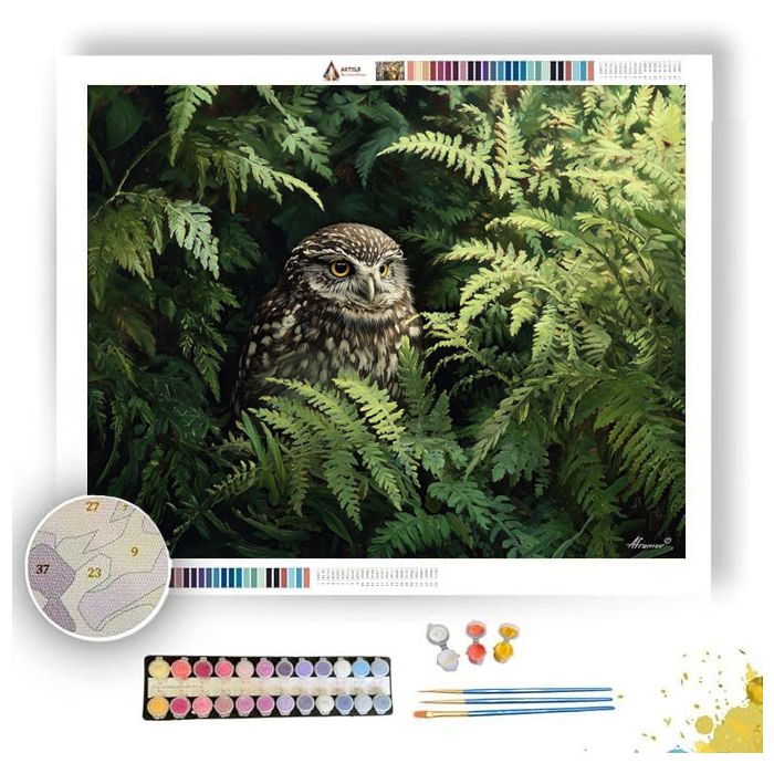 FERNGLADE OWLET - Paint by Numbers Full Kit