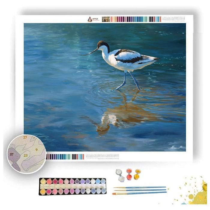 TIDEGLASS AVOCET - Paint by Numbers Full Kit