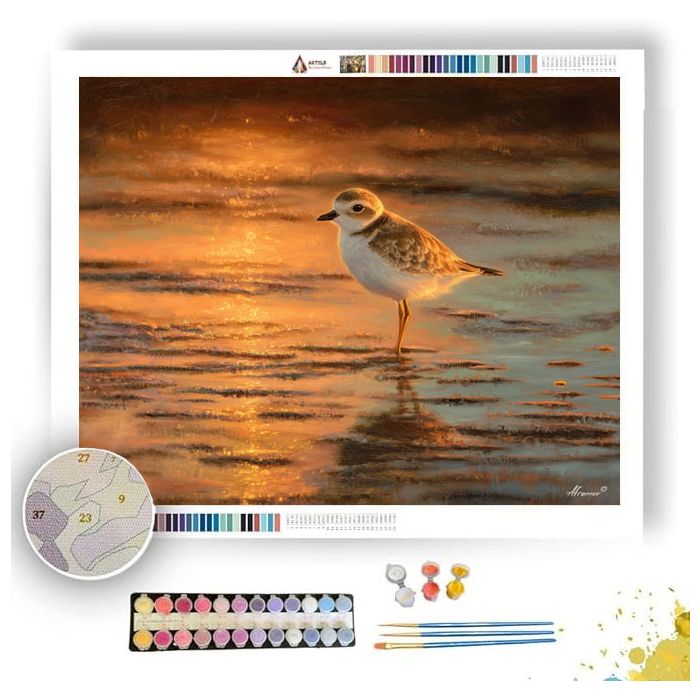 DUSKLAND PLOVER - Paint by Numbers Full Kit