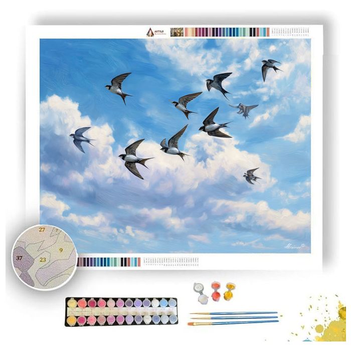 SKYARC SWALLOW - Paint by Numbers Full Kit