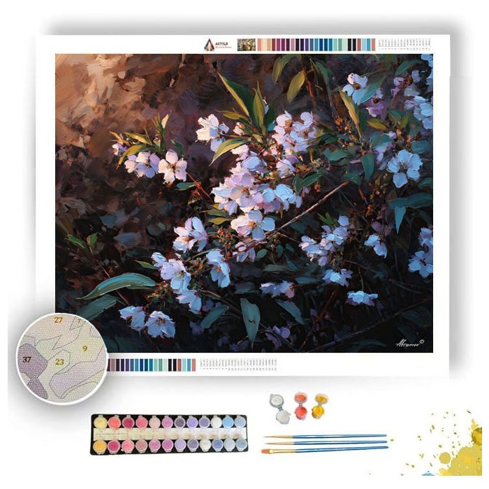 PETALS AT DUSK - Paint by Numbers Full Kit