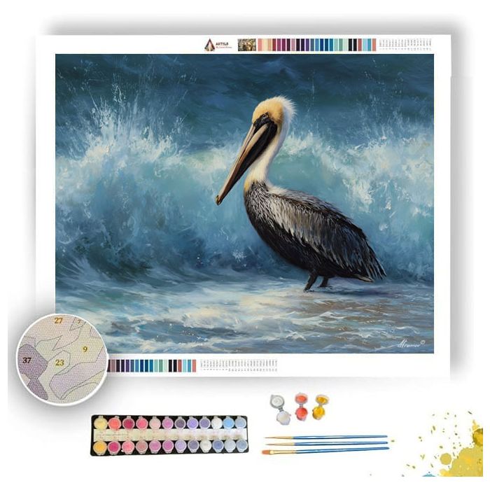 COASTLINE PELICAN - Paint by Numbers Full Kit