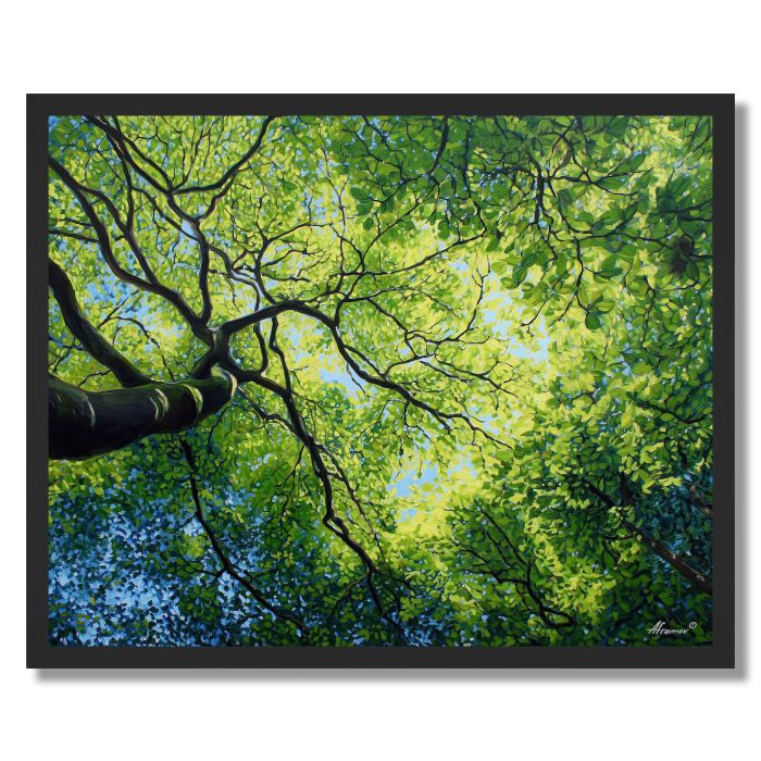 MORNING LIGHT CANOPY - FRAMED