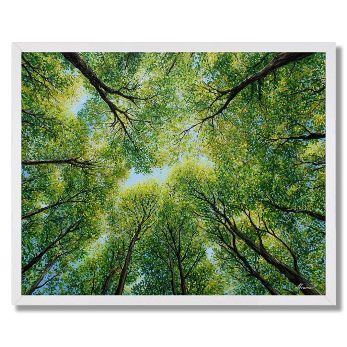 CANOPY OF NEW LEAVES - FRAMED
