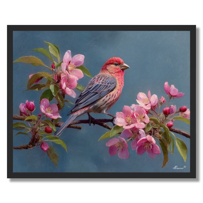 BLOSSOMFINCH PERCH - FRAMED