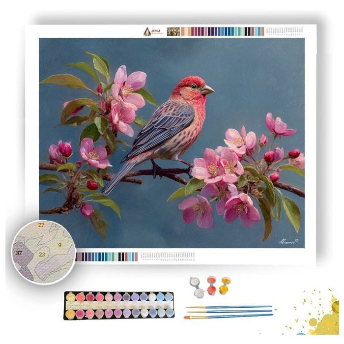 BLOSSOMFINCH PERCH - Paint by Numbers Full Kit