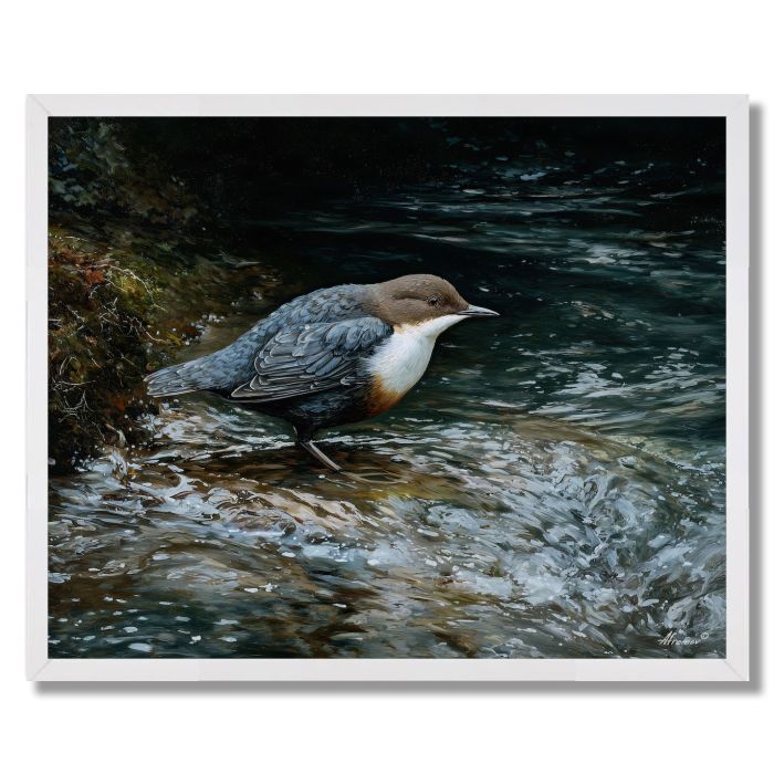 RIVERGLEAM DIPPERS - FRAMED