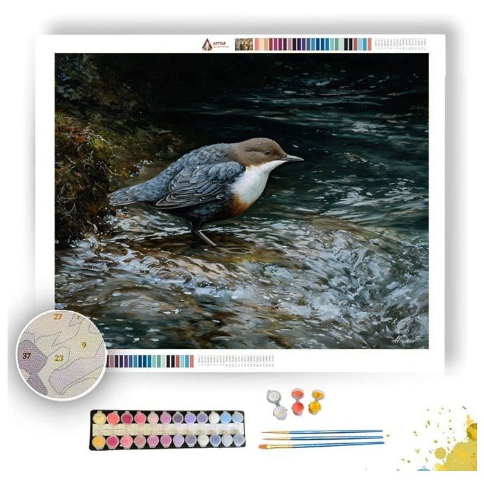 RIVERGLEAM DIPPERS - Paint by Numbers Full Kit