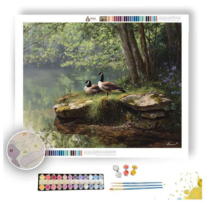 GOOSE POND REST - Paint by Numbers Full Kit