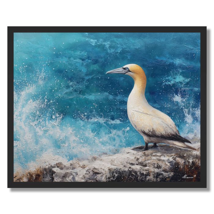COASTLINE GANNET - FRAMED