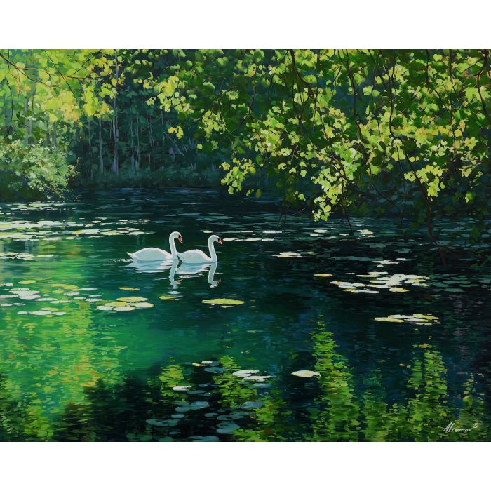 spring swans,lake calm,oil painting