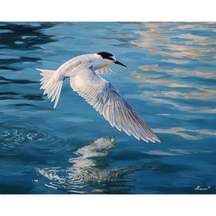 tern bird,harbor water,hovering flight,oil painting,coastal bird