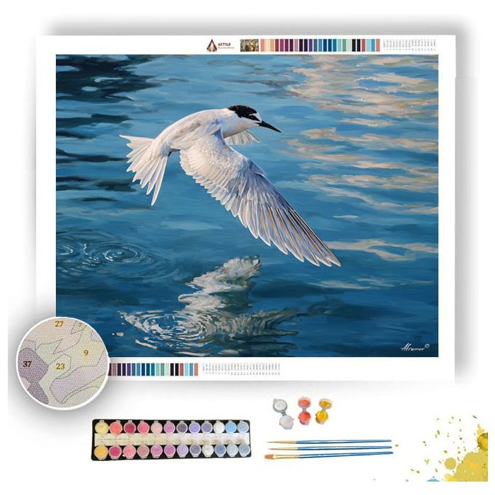 GLASSHARBOR TERN - Paint by Numbers Full Kit