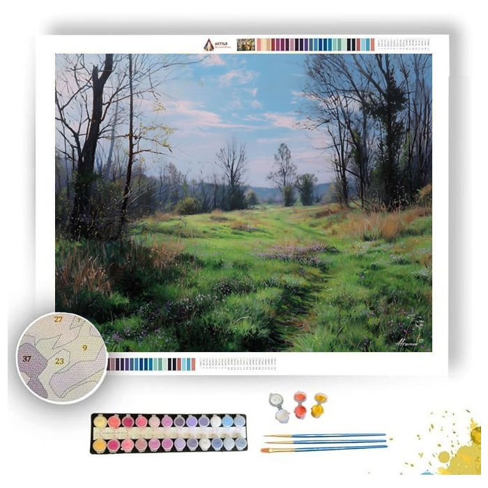 MEADOW AWAKENING - Paint by Numbers Full Kit