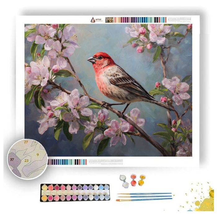 BLOSSOMFINCH WATCH - Paint by Numbers Full Kit