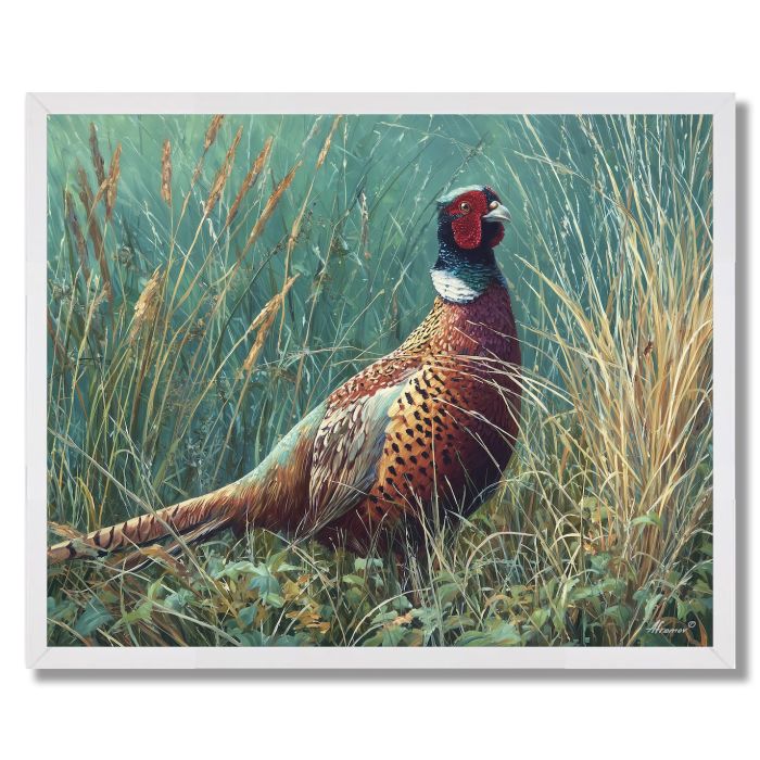 TALLGRASS PHEASANT - FRAMED