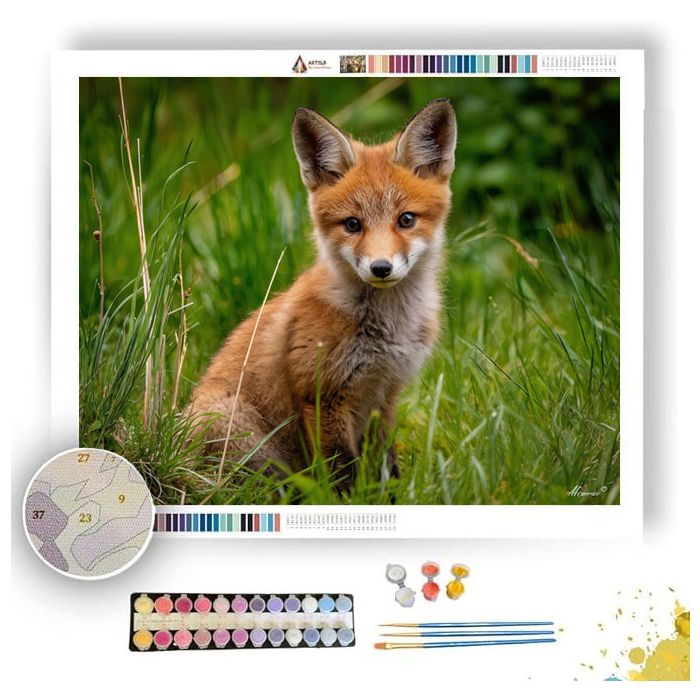 FOX CUB MEADOW - Paint by Numbers Full Kit
