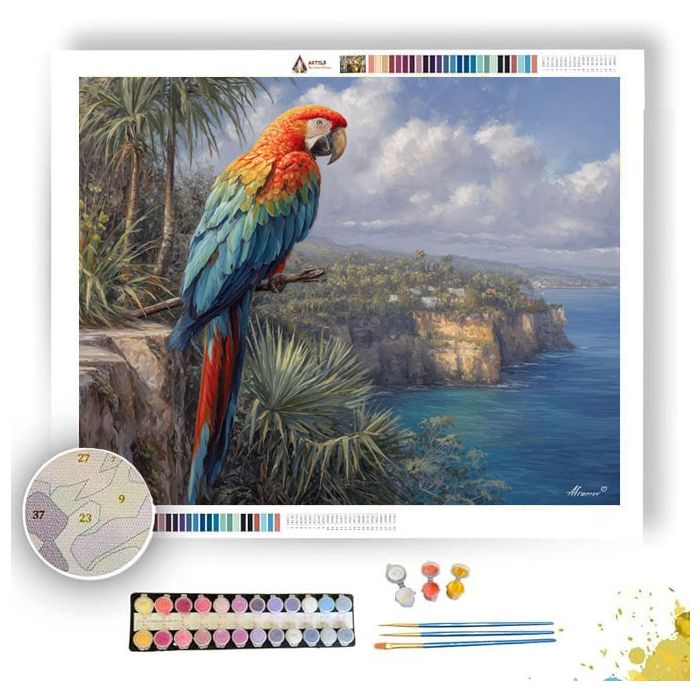 PALMCOAST MACAW - Paint by Numbers Full Kit