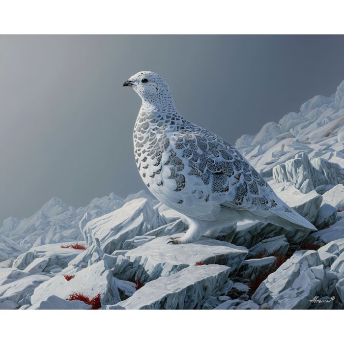 ptarmigan bird,cold landscape,camouflage,oil painting