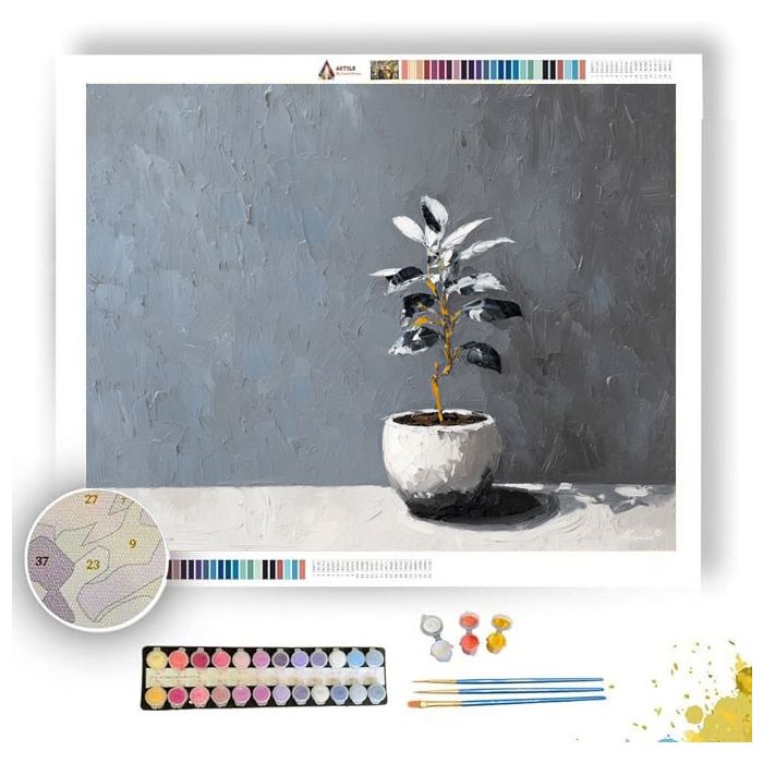 BUILT SCENE - Paint by Numbers Full Kit