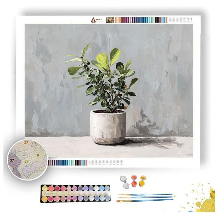 OPEN SURFACE - Paint by Numbers Full Kit