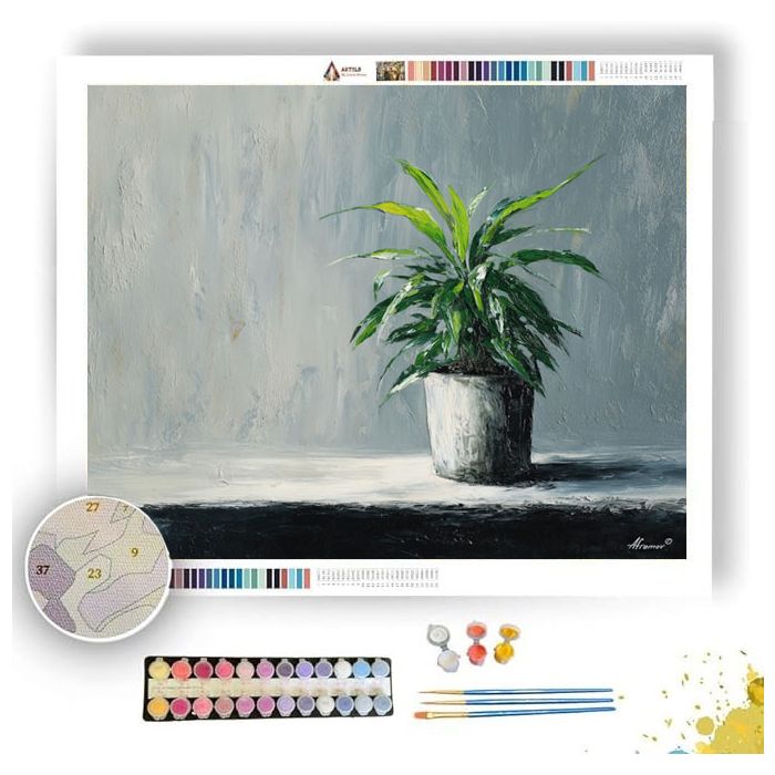 CALM ARRANGEMENT - Paint by Numbers Full Kit
