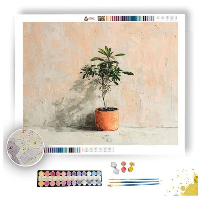 ORDERED ORDER - Paint by Numbers Full Kit