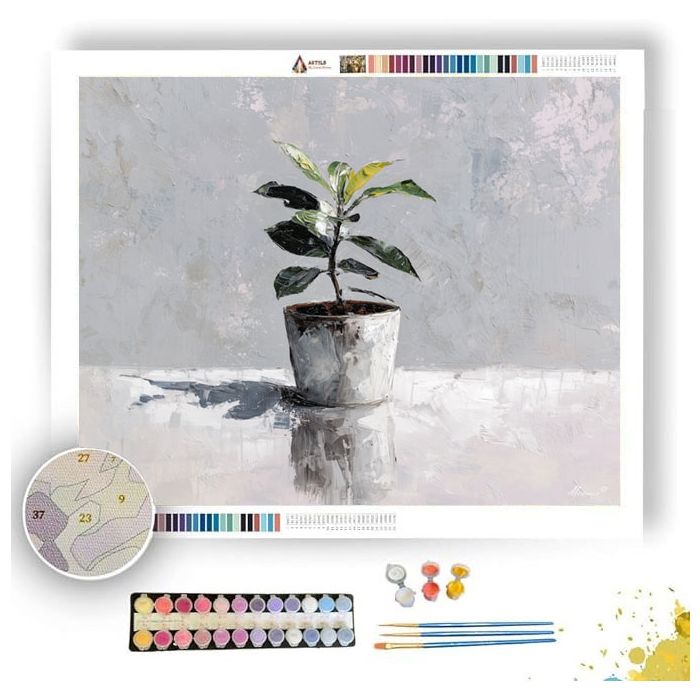 ORDERED FLOW B&W - Paint by Numbers Full Kit