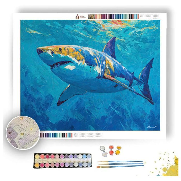 PLAYFUL FLOW - Paint by Numbers Full Kit