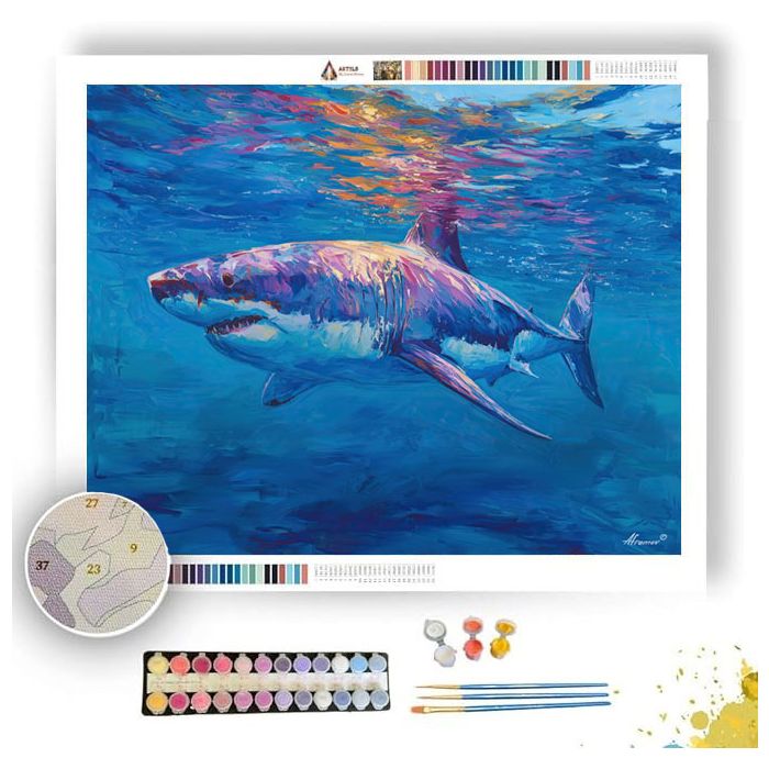 HIDDEN BALANCE - Paint by Numbers Full Kit