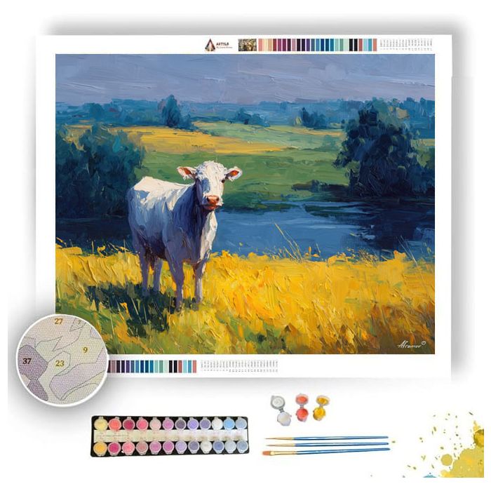 CALM SURFACE - Paint by Numbers Full Kit