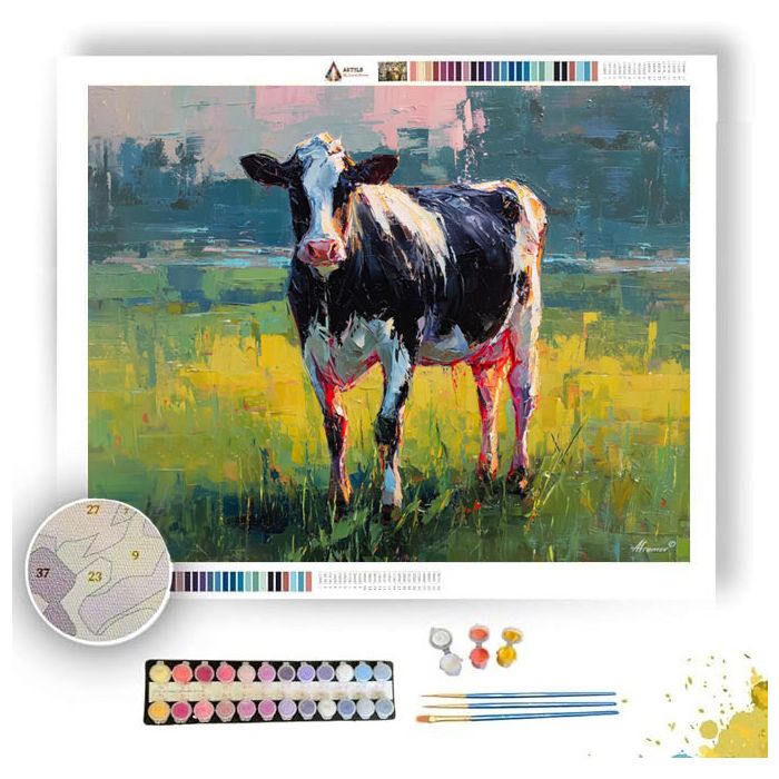 PLAYFUL STATE - Paint by Numbers Full Kit