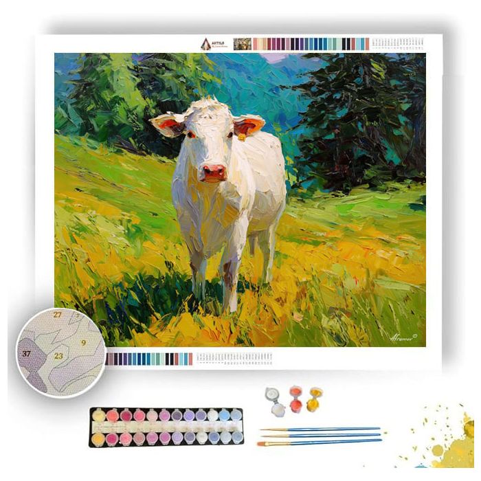 HIDDEN SURFACE - Paint by Numbers Full Kit