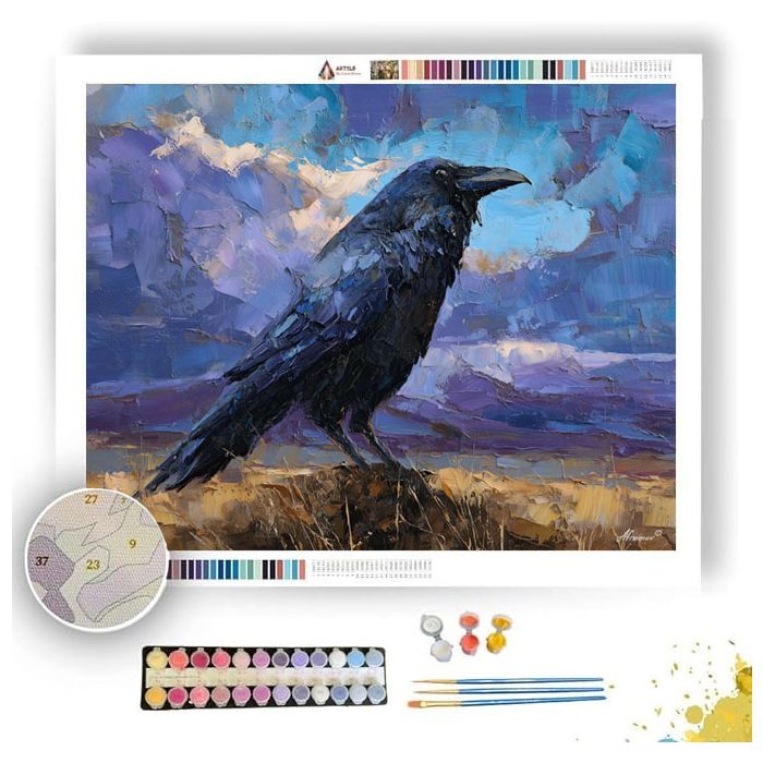 BROKEN VISION - Paint by Numbers Full Kit