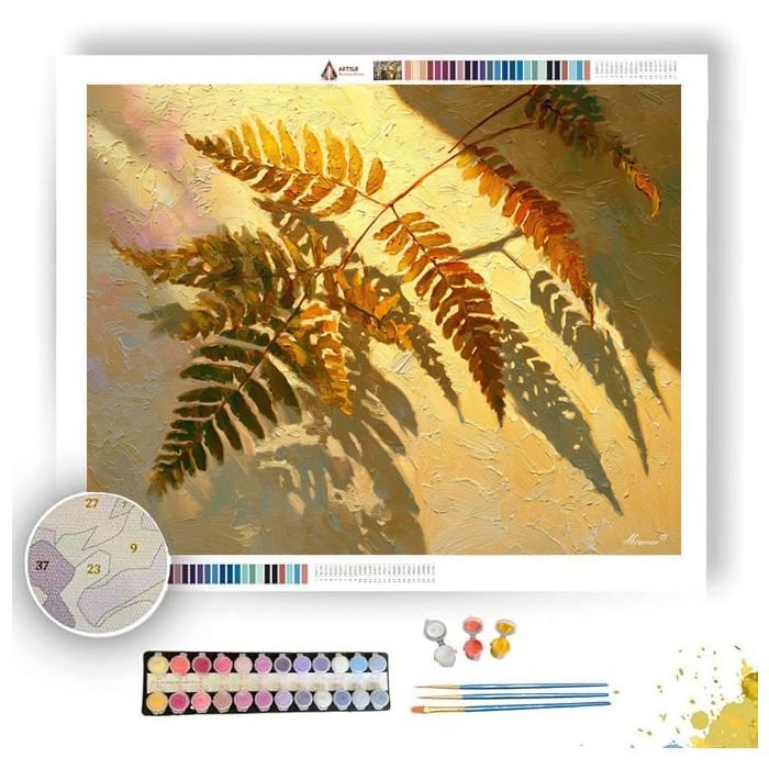 FERN SHADOW BALLET - Paint by Numbers Full Kit