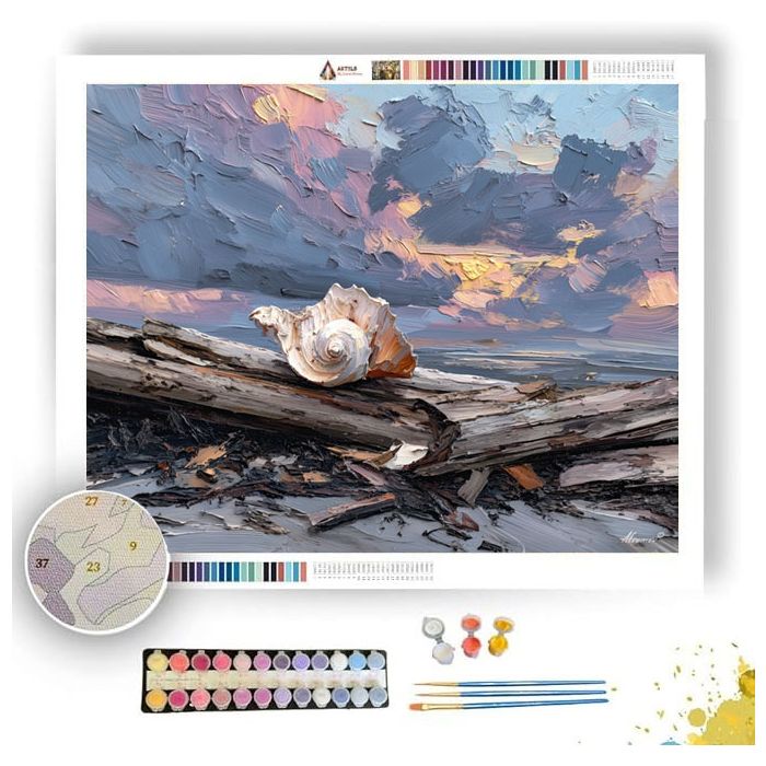 SHELL BESIDE DRIFTWOOD - Paint by Numbers Full Kit