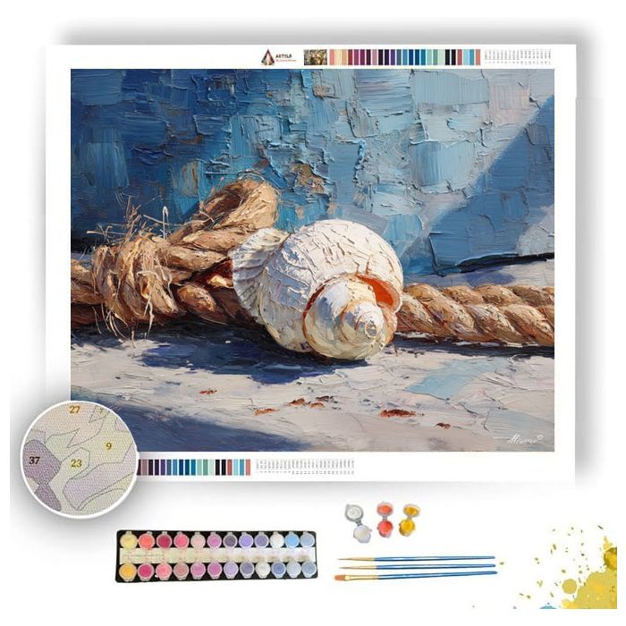 SHELL BESIDE BOAT ROPE - Paint by Numbers Full Kit