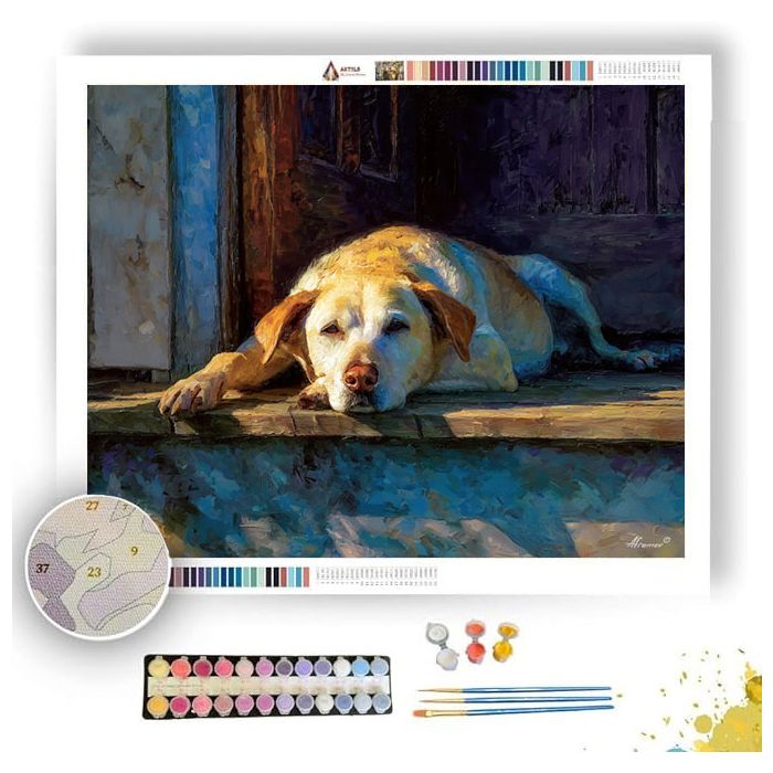 DOG RESTING ON PORCH - Paint by Numbers Full Kit