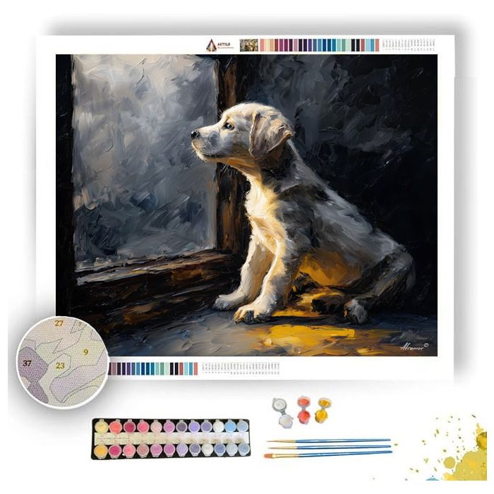 PUPPY LOOKING OUTSIDE - Paint by Numbers Full Kit