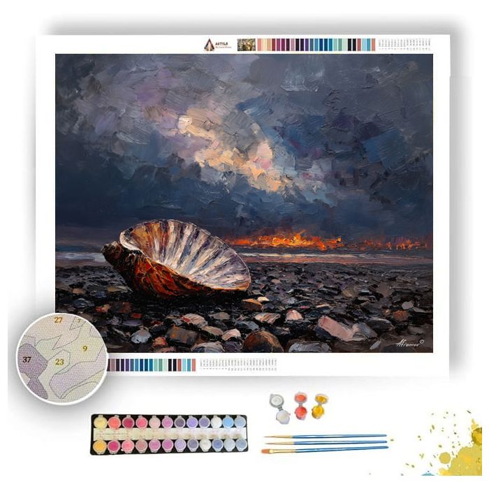 SHELL ON PEBBLES - Paint by Numbers Full Kit