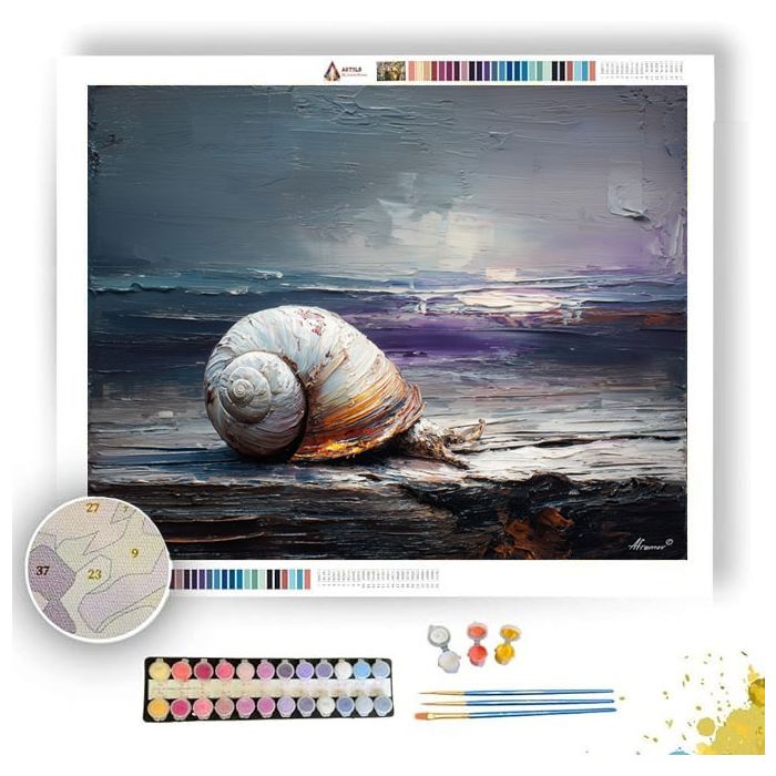 SHELL ON DRIFTWOOD PLANK - Paint by Numbers Full Kit