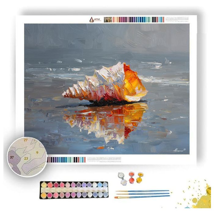 SHELL WITH REFLECTIONS - Paint by Numbers Full Kit