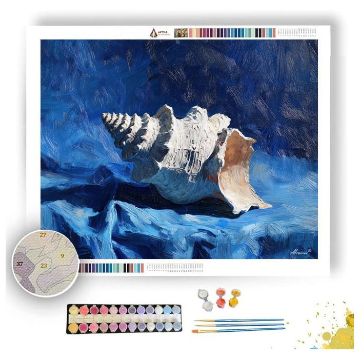 SHELL ON BLUE CLOTH - Paint by Numbers Full Kit
