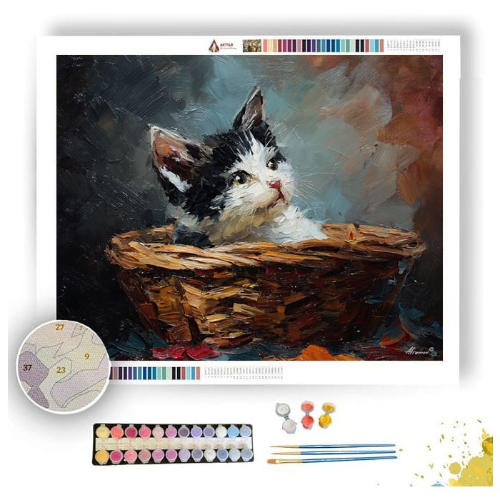 KITTEN IN BASKET - Paint by Numbers Full Kit