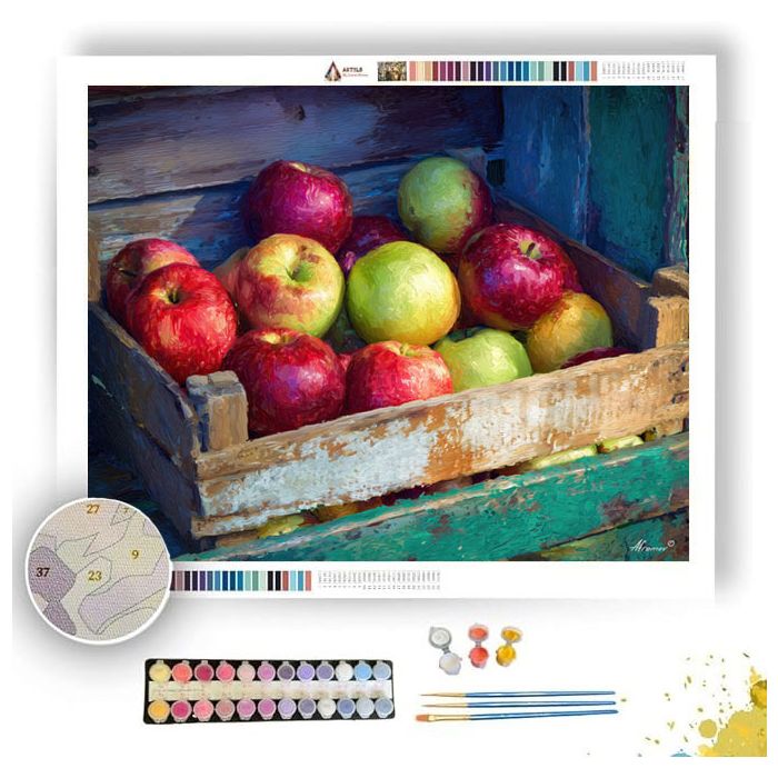 APPLES FROM ORCHARD SHED - Paint by Numbers Full Kit