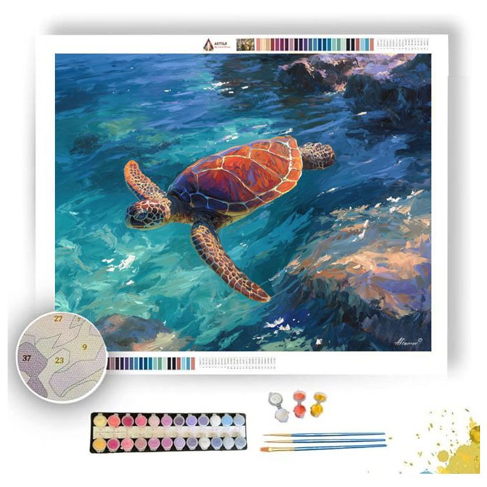 CLEAR VIEW - Paint by Numbers Full Kit