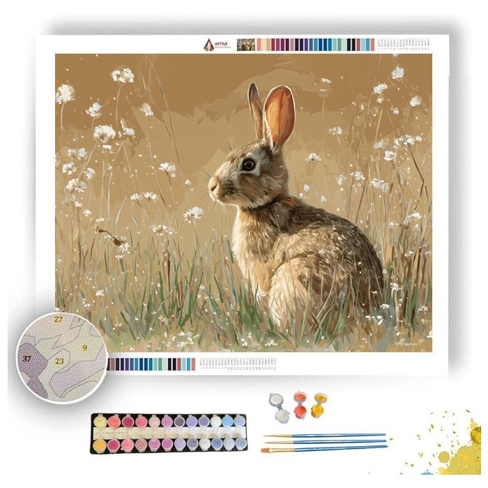 MEADOW STUDY SAND - Paint by Numbers Full Kit